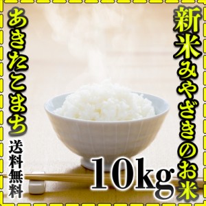 お米 米 10kg 白米 送料無料 宮崎県産 あきたこまち 令和5年産 5kg2個 みやざきのお米 富田商店 とみた商店