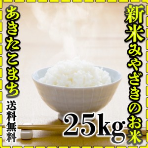 お米 米 25kg 白米 送料無料 宮崎県産 あきたこまち 令和5年産 5kg5個 みやざきのお米 富田商店 とみた商店