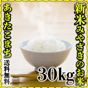 お米 米 30kg 白米 送料無料 宮崎県産 あきたこまち 令和5年産 5kg6個 みやざきのお米 富田商店 とみた商店