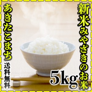 お米 米 5kg 白米 送料無料 宮崎県産 あきたこまち 令和5年産 5kg1個 みやざきのお米 富田商店 とみた商店 