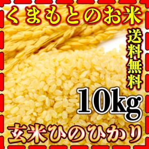 お米 米 10kg 玄米 送料無料 熊本県産 ひのひかり 令和5年産 ヒノヒカリ あす着 5kg2個 くまもとのお米 富田商店 とみた商店