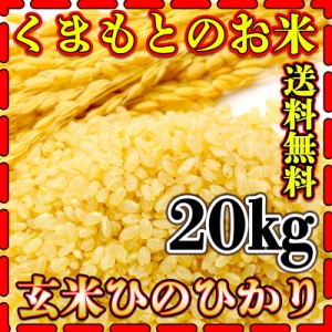 お米 米 20kg 玄米 送料無料 熊本県産 ひのひかり 令和5年産 ヒノヒカリ あす着 5kg4個 くまもとのお米 富田商店 とみた商店