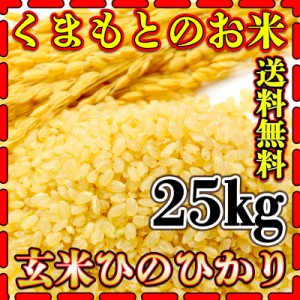 お米 米 25kg 玄米 送料無料 熊本県産 ひのひかり 令和5年産 ヒノヒカリ あす着 5kg5個 くまもとのお米 富田商店 とみた商店