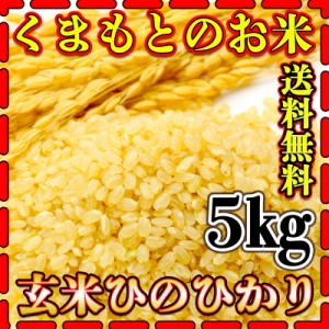 お米 米 5kg 玄米 送料無料 熊本県産 ひのひかり 令和5年産 ヒノヒカリ あす着 5kg1個 くまもとのお米 富田商店 とみた商店