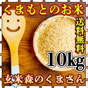 お米 米 10kg 玄米 送料無料 熊本県産 森のくまさん 令和5年産 あす着 5kg2個 くまもとのお米 富田商店 とみた商店