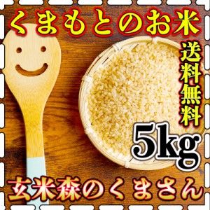 お米 米 5kg 玄米 送料無料 熊本県産 森のくまさん 令和5年産 5kg1個 くまもとのお米 富田商店 とみた商店