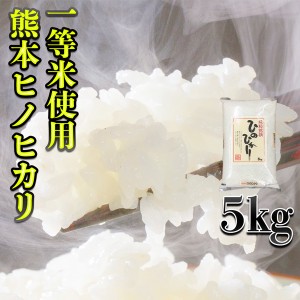 お米 米 5kg 白米 一等米使用 熊本県産 ひのひかり あす着 令和5年産 ヒノヒカリ 5kg1個 くまもとのお米 富田商店 とみた商店