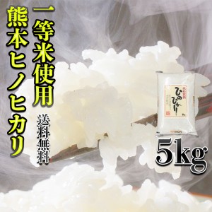 お米 米 5kg 白米 送料無料 一等米使用 熊本県産 ひのひかり 最短配送 令和5年産 ヒノヒカリ 5kg1個 くまもとのお米 富田商店 とみた商店