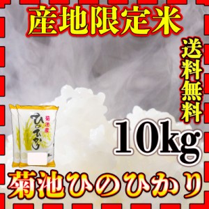 お米 米 10kg 白米 送料無料 熊本県 菊池産 ひのひかり 令和5年産 ヒノヒカリ 5kg2個 産地限定米 くまもとのお米