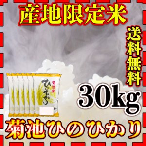 お米 米 30kg 白米 送料無料 熊本県 菊池産 ひのひかり 令和5年産 ヒノヒカリ 5kg6個 産地限定米 くまもとのお米