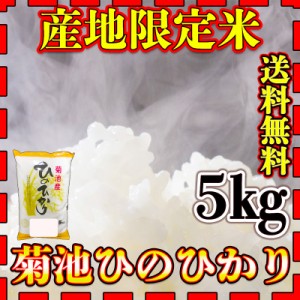 お米 米 5kg 白米 送料無料 熊本県 菊池産 ひのひかり あす着 令和5年産 ヒノヒカリ 5kg1個 産地限定米 くまもとのお米