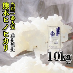 お米 米 10kg 白米 送料無料 熊本県産 ひのひかり 令和5年産 ヒノヒカリ 10kg1個 富田商店一番人気 くまもとのお米