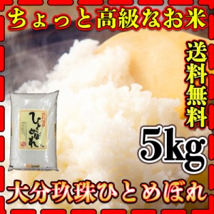 お米 米 5kg 白米 送料無料 大分県 玖珠産 ひとめぼれ あす着 高級米 令和5年産 ヒトメボレ 5kg1個  棚田米 富田商店 とみた商店