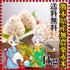 お米 米 1kg 玄米 送料無料 熊本県産 赤米 無農薬 あす着 令和5年産 古代米 くまもとのお米 富田商店 とみた商店