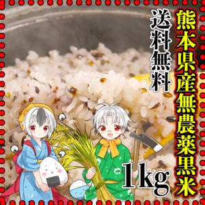お米 米 1kg 玄米 送料無料 熊本県産 黒米 無農薬 令和5年産 古代米 くまもとのお米 富田商店 とみた商店
