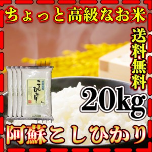 お米 米 20kg 白米 送料無料 熊本県 阿蘇産 こしひかり あす着 令和5年産 コシヒカリ 5kg4個 くまもとのお米