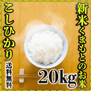 お米 米 20kg 白米 送料無料 熊本県産 こしひかり あす着 令和5年産 コシヒカリ 5kg4個 くまもとのお米 富田商店 とみた商店