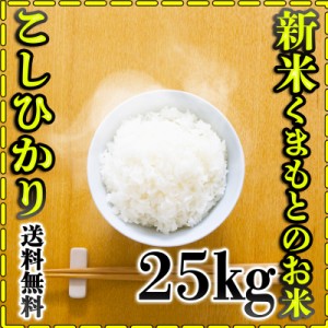 お米 米 25kg 白米 送料無料 熊本県産 こしひかり あす着 令和5年産 コシヒカリ 5kg5個 くまもとのお米 富田商店 とみた商店