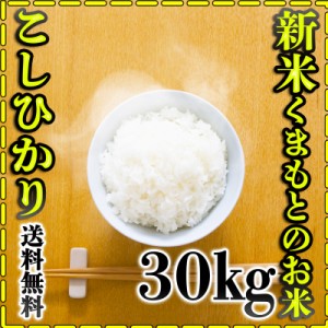 お米 米 30kg 白米 送料無料 熊本県産 こしひかり 令和5年産 コシヒカリ 5kg6個 くまもとのお米 富田商店 とみた商店