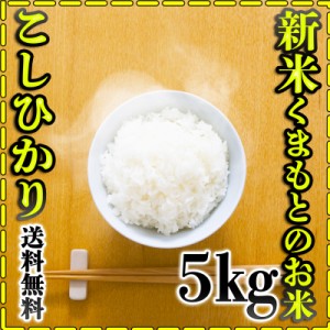 お米 米 5kg 白米 送料無料 熊本県産 こしひかり あす着 令和5年産 コシヒカリ 5kg1個 くまもとのお米 富田商店 とみた商店