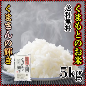 お米 米 5kg 白米 送料無料 熊本県産 くまさんの輝き 令和5年産 あす着 5kg1個 くまモン くまもとのお米