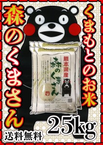 お米 米 25kg 白米 送料無料 熊本県産 森のくまさん 令和5年産 あす着 5kg5個 くまモン くまもとのお米