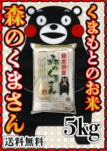 お米 米 5kg 白米 送料無料 熊本県産 森のくまさん 最短配送 令和5年産 5kg1個 くまモン くまもとのお米 富田商店 とみた商店