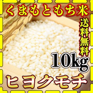 お米 米 10kg 白米 送料無料 熊本県産 ヒヨクモチ もち米 令和5年産 5kg2個 くまもとのお米 富田商店 とみた商店 