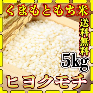 お米 米 5kg 白米 送料無料 熊本県産 ヒヨクモチ もち米 令和5年産 5kg1個 くまもとのお米 富田商店 とみた商店