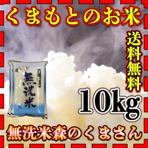 お米 米 10kg 白米 送料無料 無洗米 熊本県産 森のくまさん あす着 令和5年産 5kg2個 くまもとのお米 富田商店 とみた商店