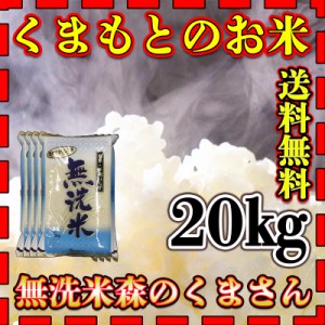 お米 米 20kg 白米 送料無料 無洗米 熊本県産 森のくまさん あす着 令和5年産 5kg4個 くまもとのお米 富田商店 とみた商店