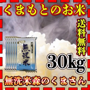 お米 米 30kg 白米 送料無料 無洗米 熊本県産 森のくまさん あす着 令和5年産 5kg6個 くまもとのお米 富田商店 とみた商店