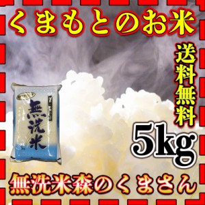 お米 米 5kg 白米 送料無料 無洗米 熊本県産 森のくまさん あす着 令和5年産 5kg1個 くまもとのお米 富田商店 とみた商店