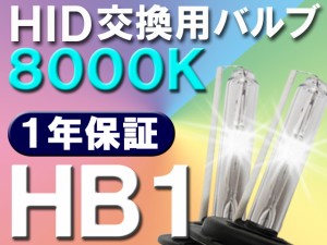 HID交換用バルブ/バーナー / HB1/8000K/2個セット / 送料無料 /(キセノン)25W-35W-55W対応 互換品