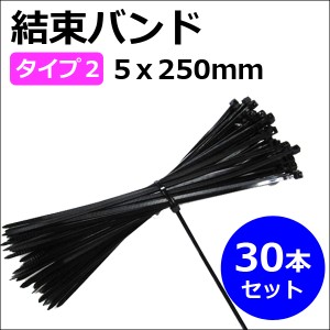 結束バンド /　タイラップ [タイプ2 (5x250mm)][黒] [30本セット] 配線の結束・固定に便利!  / 送料無料 互換品