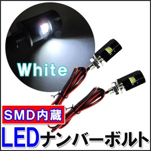 LEDナンバーボルト[白]2個セット / 送料無料 互換品