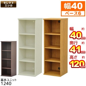 収納棚 幅40cm 奥行40cm (S)セレクトエシカ基本ユニット1240(SS-1240) 幅40.1cm 奥行き39.9cm 高さ120.5cm 収納ラック カラーボックス フ