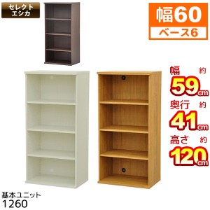 収納棚 幅60cm 奥行40cm (S)セレクトエシカ基本ユニット1260(SS-1260) 幅58.9cm 奥行き39.9cm 高さ120.5cm 収納ラック カラーボックス フ