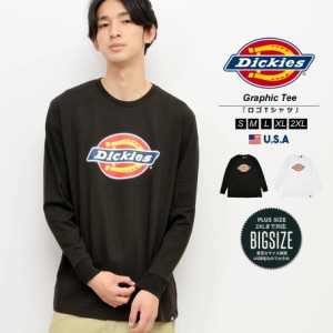 メール便送料無料 ディッキーズ Dickies ロンT 長袖Tシャツ メンズ ワーク ブランド USAモデル ロングスリーブアイコングラフィックTシャ