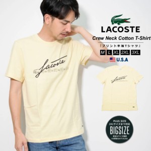 LACOSTE ラコステ Tシャツ メンズ ワニロゴ プリント おしゃれ ブランド Mens Signature And Crocodile Print Crew Neck Cotton T-Shirt 