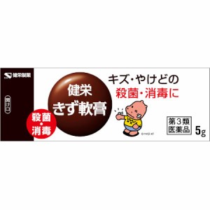 【第3類医薬品】健栄きず軟膏 5g 【メール便】【お取り寄せ】(4987286318059)