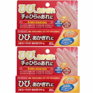 【第3類医薬品】メルフィーナひび・あかぎれクリーム 20g【2個セット】【メール便】(4956622106827-2)