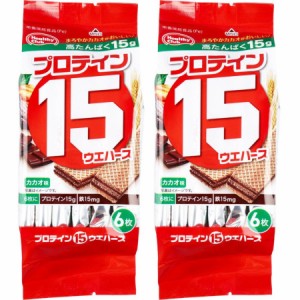 プロテイン１５ウエハース（カカオ味）6枚【2個セット】(4902621005289-2)