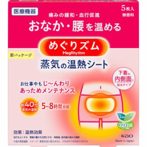 めぐりズム 蒸気の温熱シート 下着の内側面に貼るタイプ 5枚入(4901301245496)