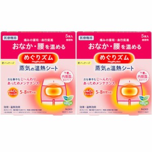 めぐりズム 蒸気の温熱シート 下着の内側面に貼るタイプ 5枚入【2個セット】(4901301245496-2)