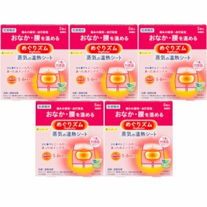 めぐりズム 蒸気の温熱シート 下着の内側面に貼るタイプ 5枚入【5個セット】(4901301245496-5)