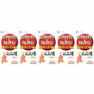 コンドロイチン＆グルコサミン（ふしぶしの恵）82g【5個セット】(4976652001879-5)