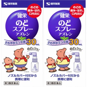 【第3類医薬品】健栄のどスプレーアズレン 30ml【2個セット】(4987286318271-2)