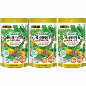 25種の純国産野菜 乳酸菌×酵素＋1日分のビタミン・ミネラル 60粒【3個セット】【メール便】(4573142071567-3)