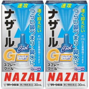 【第2類医薬品】ナザールＧスプレークール 30ml【2個セット】(4987316018812-2)